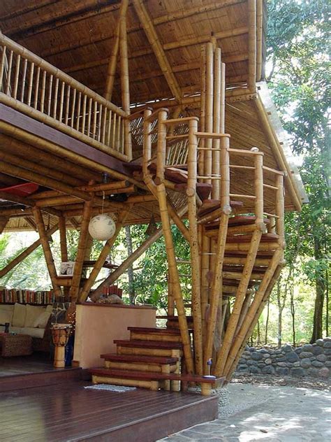 bamboo casa